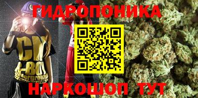 ПСИЛОЦИБИНОВЫЕ ГРИБЫ Владикавказ