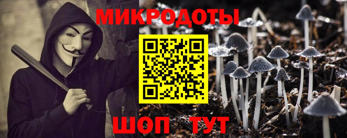 Псилоцибиновые грибы Psilocybine cubensis  Псилоцибиновые грибы Psilocybe  Донецк  Вход с VPN 