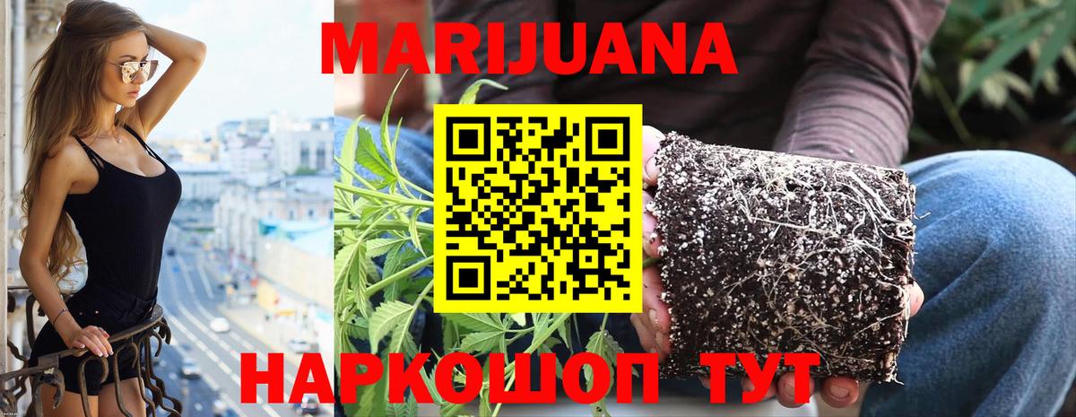 Канабис план Донецк